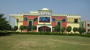 SDVM Public School