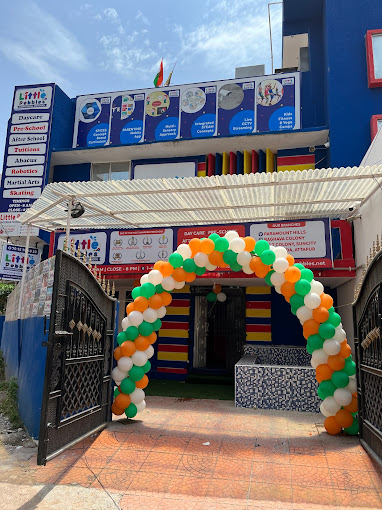 Little Pebbles Attapur