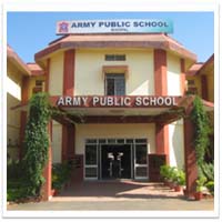 Army Public School