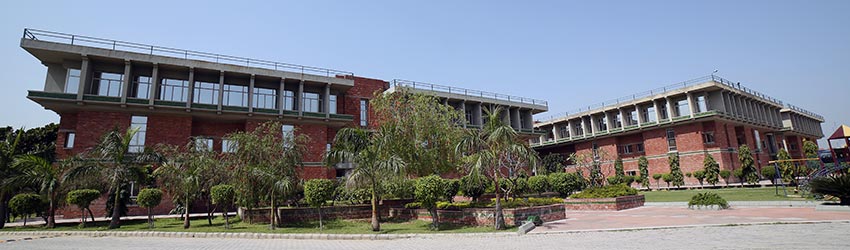Vidya Global School