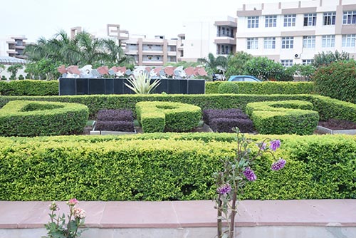 DELHI PUBLIC SCHOOL