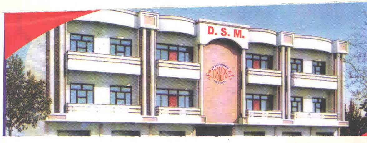 DSM Public School