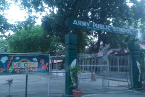 Army Public School