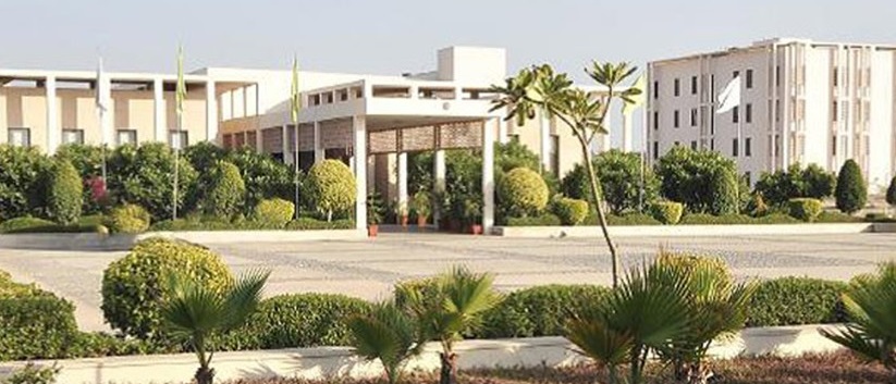 Raffles International School