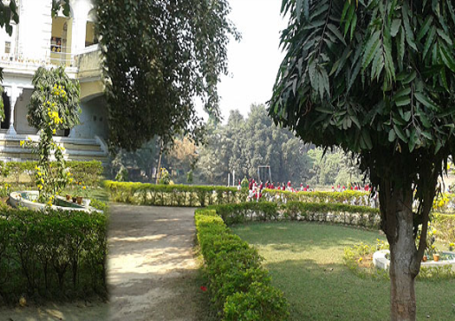 Dav Public School