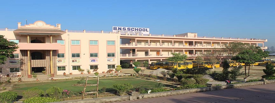 B.N.S. School