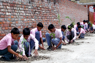 Pratap Public School