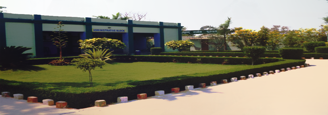 S R D Public School