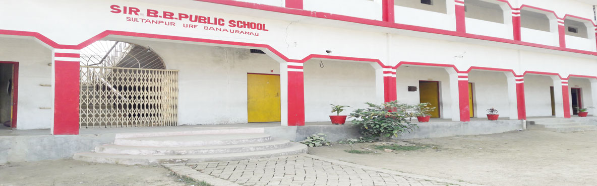 Sir BB Public School
