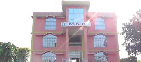 Msb International
