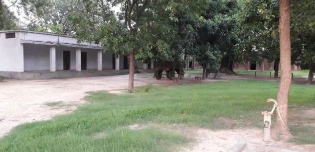 Tileshwari Devi Inter College