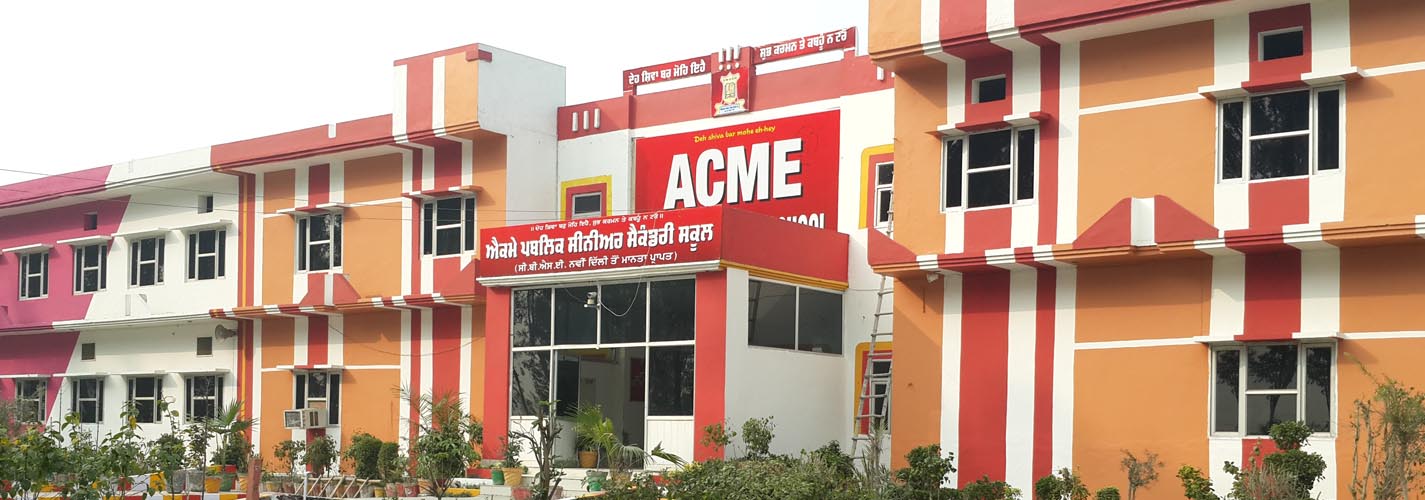 Acme Public School