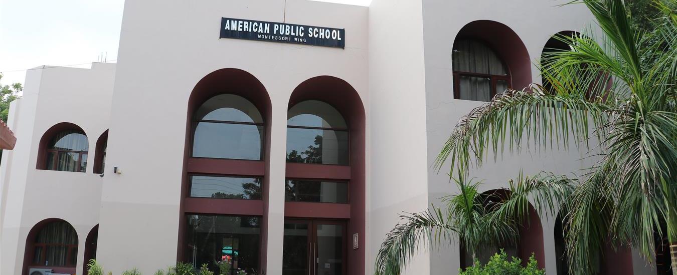 American Montessori Public School