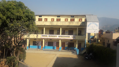 Anandi Academy