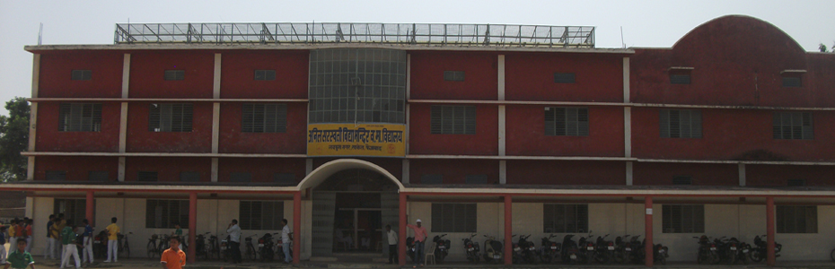 Anil Saraswati Vidya Mandir