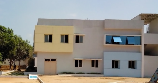 Arbor International School