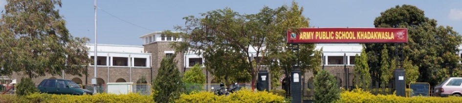 Army Public School