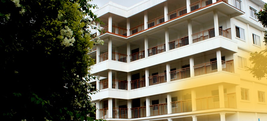 Assisi School