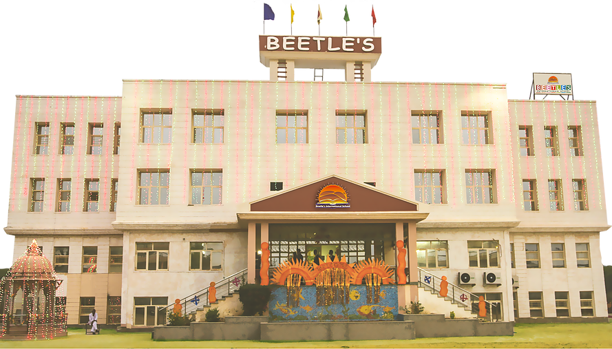 Beetles International School