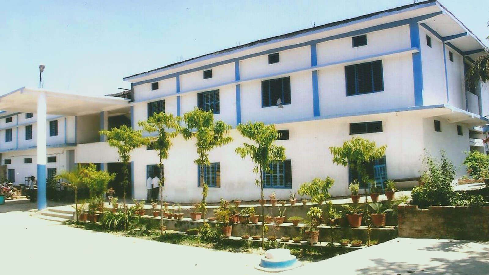 Blooming Buds English School