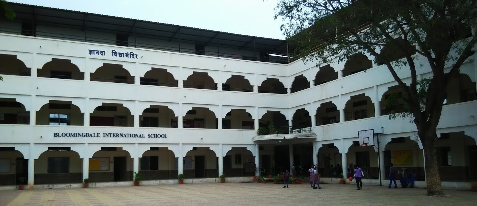 Bloomingdale International School