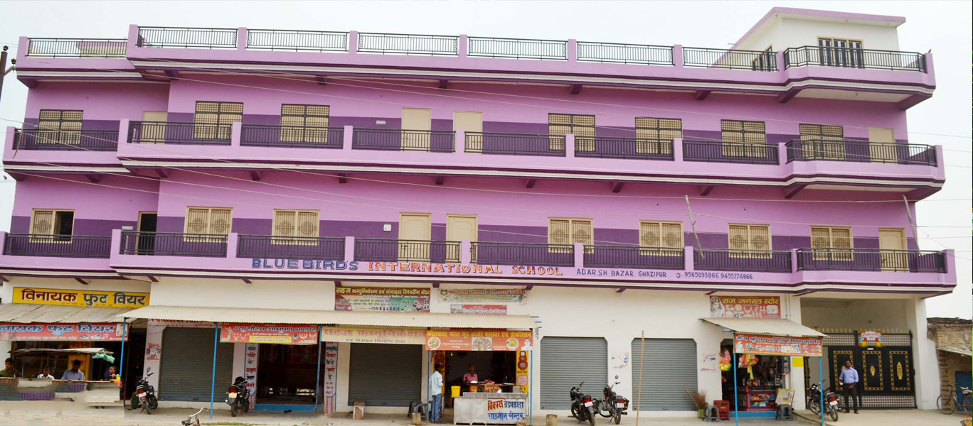 Blue Bird's International School
