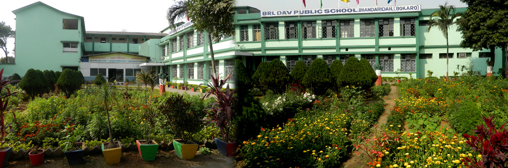 Brl Dav Public School