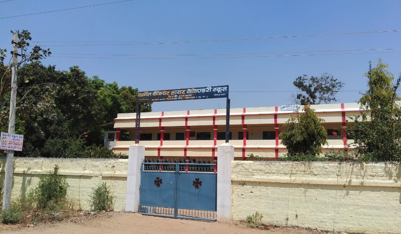 Carmel Convent School