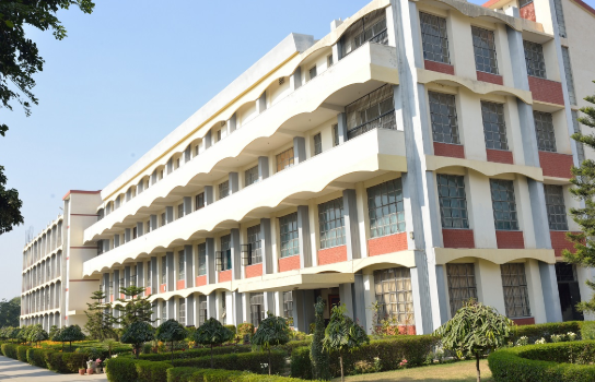 Christ Raja Convent School