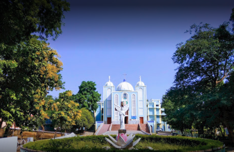 Christ The King College