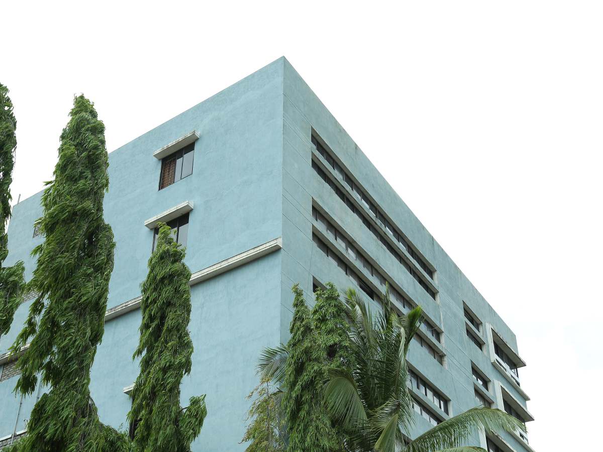 City International School