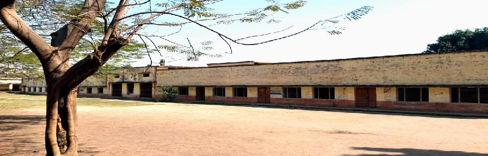 Colonelganj Intermediate College