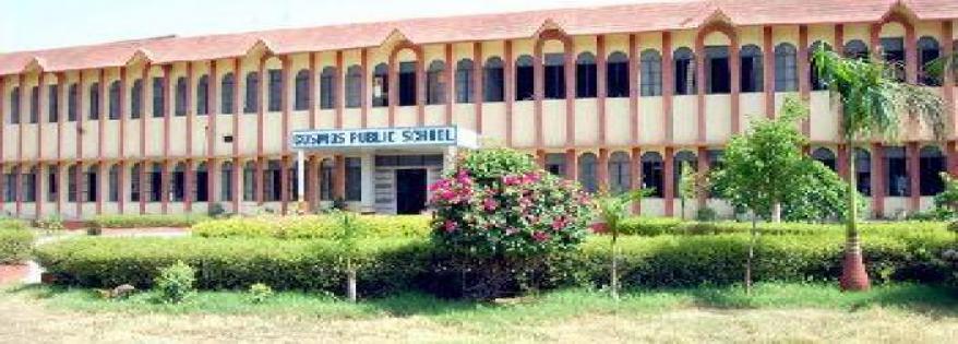 Cosmos Public School