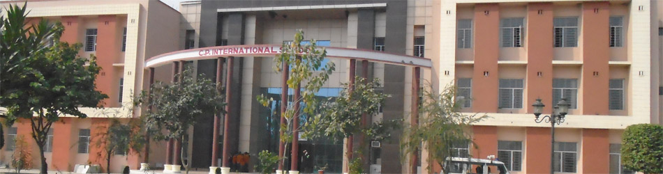 C.p. International School