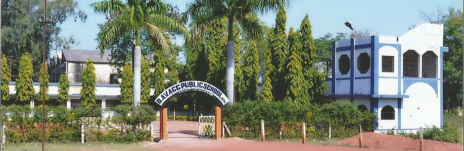 D A V Acc Public School