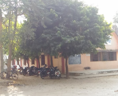 D A V Inter College