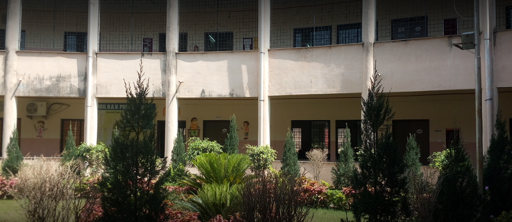D A V Moil Public School