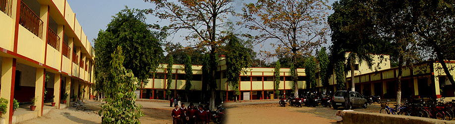 D A V Public School