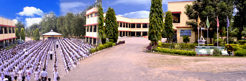 D A V Public School