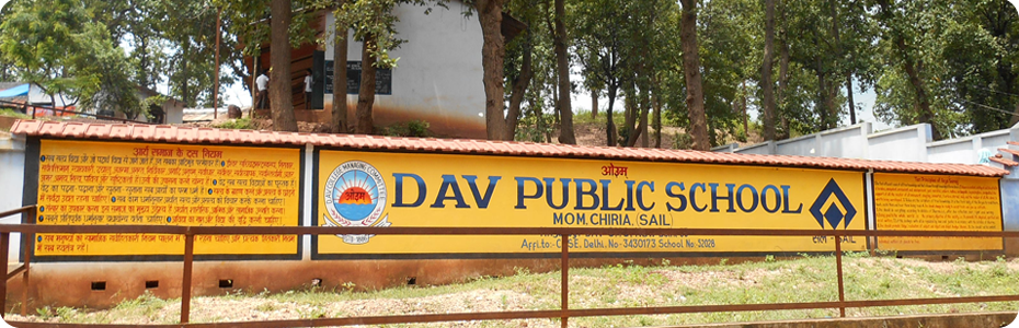 D A V Public School