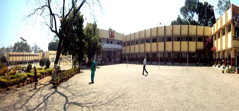 D A V Public School