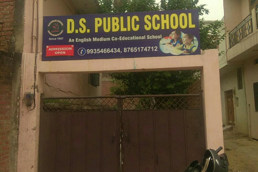 D S Public School