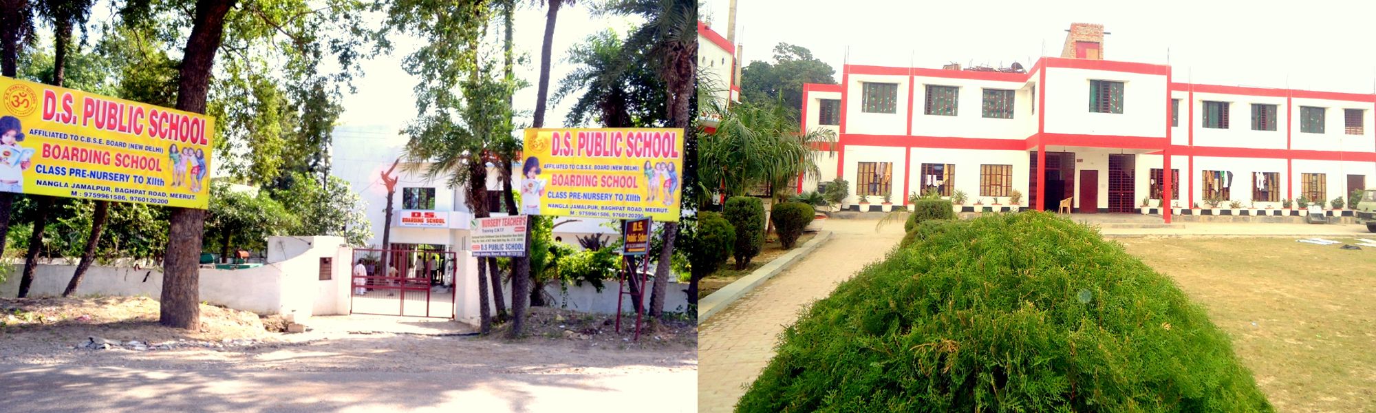 D S Public School