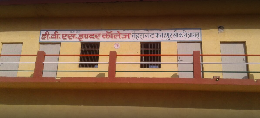 D V S Inter College