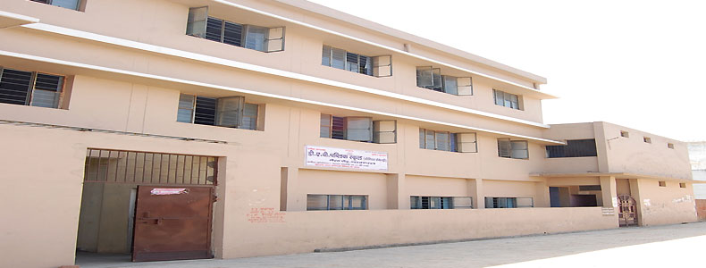 Dav Public School