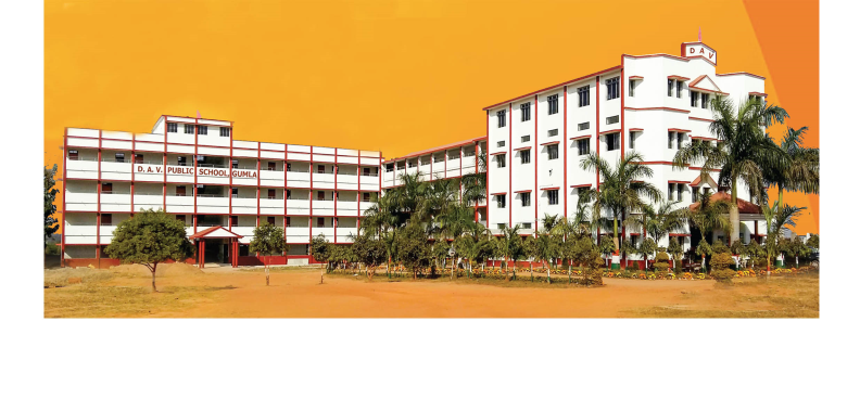 Dav Public School