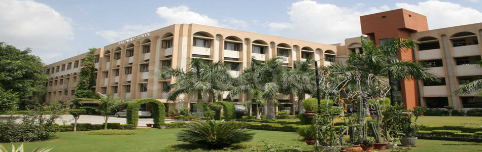 Dav Public School
