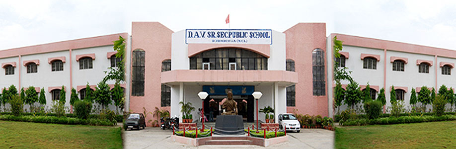 Dav Public School