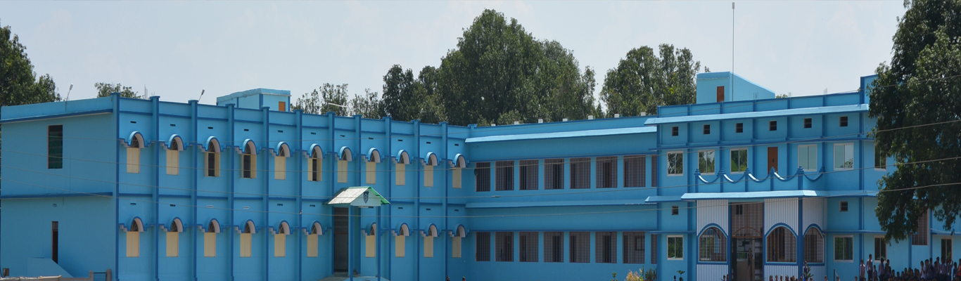 De Paul School