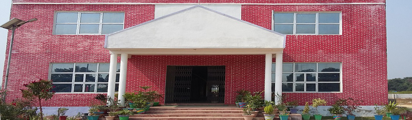 Divine Public School